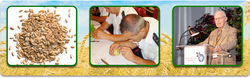 Borlaug Fellowship Program